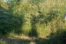 Land for sale in Mae Sa, Chiang Mai
