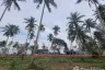 Land for sale in Bang Saphan, Prachuap Khiri Khan
