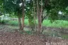 Land for sale in Tha Sala, Chiang Mai
