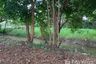 Land for sale in Tha Sala, Chiang Mai