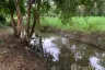 Land for sale in Tha Sala, Chiang Mai