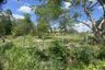 Land for sale in Nong Khwai, Chiang Mai