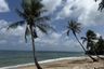 Land for sale in Sala Dan, Krabi