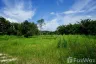 Land for sale in Huai Sai, Chiang Mai