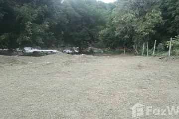 Land for sale in Ban Luang, Chiang Mai