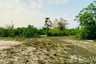 Land for sale in Ban Luang, Chiang Mai