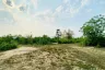Land for sale in Ban Luang, Chiang Mai