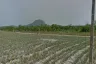 Land for sale in Wang Phong, Prachuap Khiri Khan