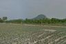 Land for sale in Wang Phong, Prachuap Khiri Khan