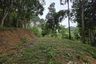 Land for sale in Ao Nang, Krabi