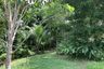 Land for sale in Thep Krasatti, Phuket