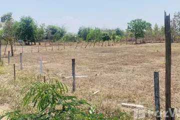 Land for sale in Buak Khang, Chiang Mai
