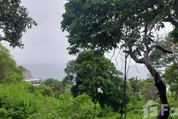Land for sale in Kamala, Phuket