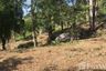 Land for sale in Patong, Phuket