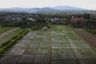 Land for sale in Ban Mae, Chiang Mai