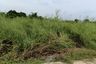 Land for sale in Hin Lek Fai, Prachuap Khiri Khan
