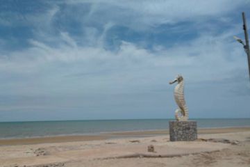 Land for sale in Bang Kao, Phetchaburi