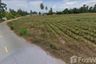 Land for sale in Sam Phraya, Phetchaburi