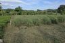 Land for sale in Sakhu, Phuket