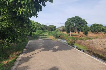 Land for sale in Thung Tom, Chiang Mai