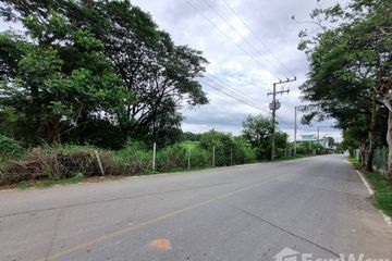Land for sale in Nong Chom, Chiang Mai