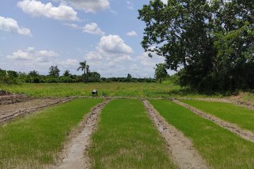 Land for sale in Han Kaeo, Chiang Mai