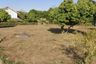 Land for sale in Buak Khang, Chiang Mai