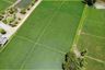 Land for sale in Rong Wua Daeng, Chiang Mai