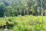 Land for sale in Krabi Noi, Krabi