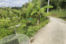 Land for sale in Choeng Thale, Phuket