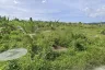 Land for sale in Choeng Thale, Phuket