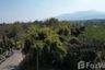 Land for sale in Rim Tai, Chiang Mai