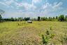Land for sale in Sop Poeng, Chiang Mai