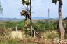 Land for sale in Nam Phrae, Chiang Mai