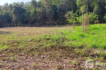 Land for sale in Nam Phrae, Chiang Mai