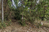 Land for sale in Rawai, Phuket
