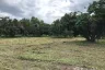 Land for sale in Nam Phrae, Chiang Mai