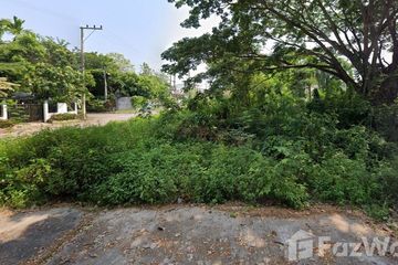 Land for sale in Nong Chom, Chiang Mai