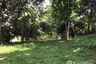 Land for sale in Huai Sai, Chiang Mai