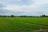 Land for sale in Buak Khang, Chiang Mai