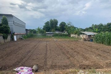 Land for sale in Pa Daet, Chiang Mai
