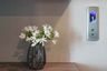 1 Bedroom Condo for Sale or Rent in Wish Signature Midtown Siam, Thanon Phetchaburi, Bangkok near BTS Ratchathewi