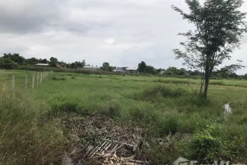 Land for sale in Buak Khang, Chiang Mai