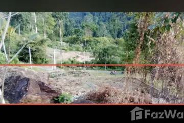 Land for sale in Ko Chang, Trat