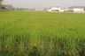 Land for sale in Nam Phrae, Chiang Mai