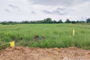 Land for sale in Buak Khang, Chiang Mai