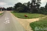 Land for sale in Khlong Wan, Prachuap Khiri Khan