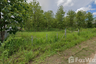Land for sale in Nong Han, Chiang Mai