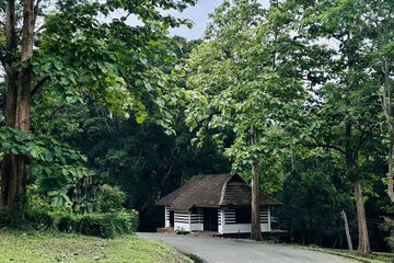 Land for sale in Ban Pong, Chiang Mai