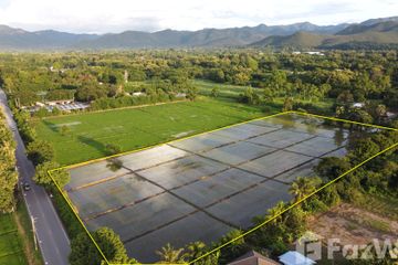 Land for sale in Rong Wua Daeng, Chiang Mai
